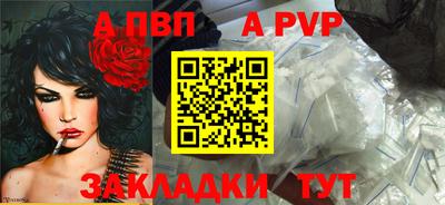 гидра Вышний Волочёк
