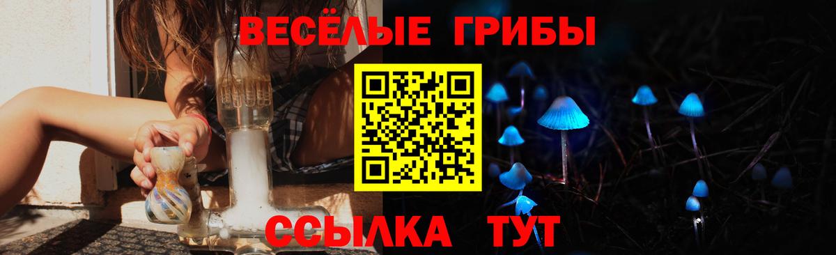 Псилоцибиновые грибы прущие грибы Ахтубинск